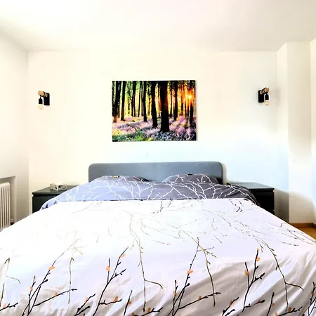 Montfort Apartments - Feldkirch Pokoj fotografie
