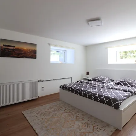 Montfort Apartments - Feldkirch Pokoj fotografie